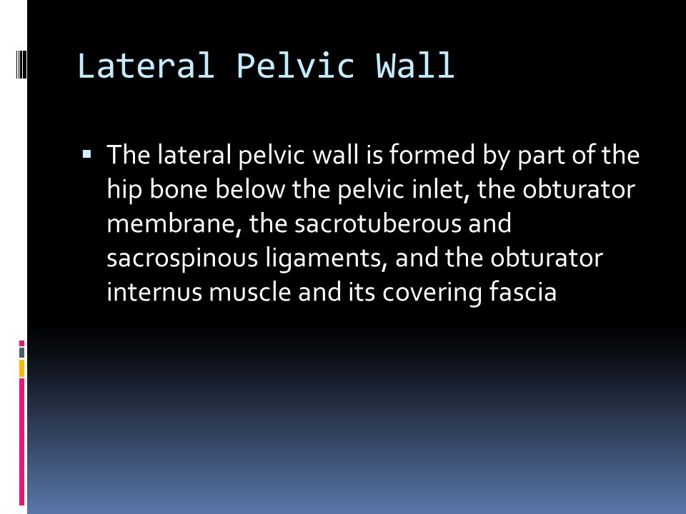 Lateral Pelvic Wall