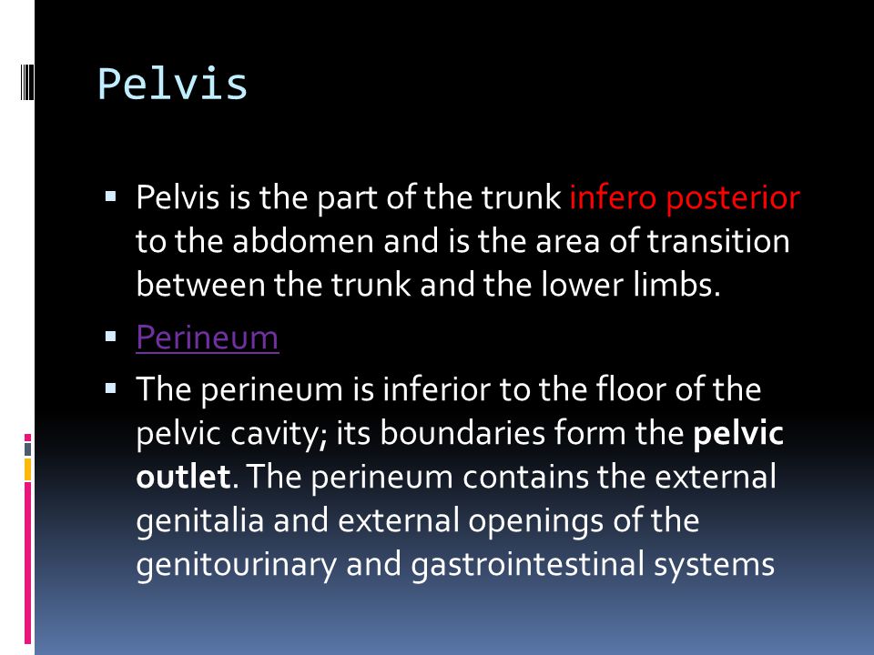 Pelvis Pelvis is the part of the trunk infero posterior to the abdomen and is the area of transition between the trunk and the lower limbs.