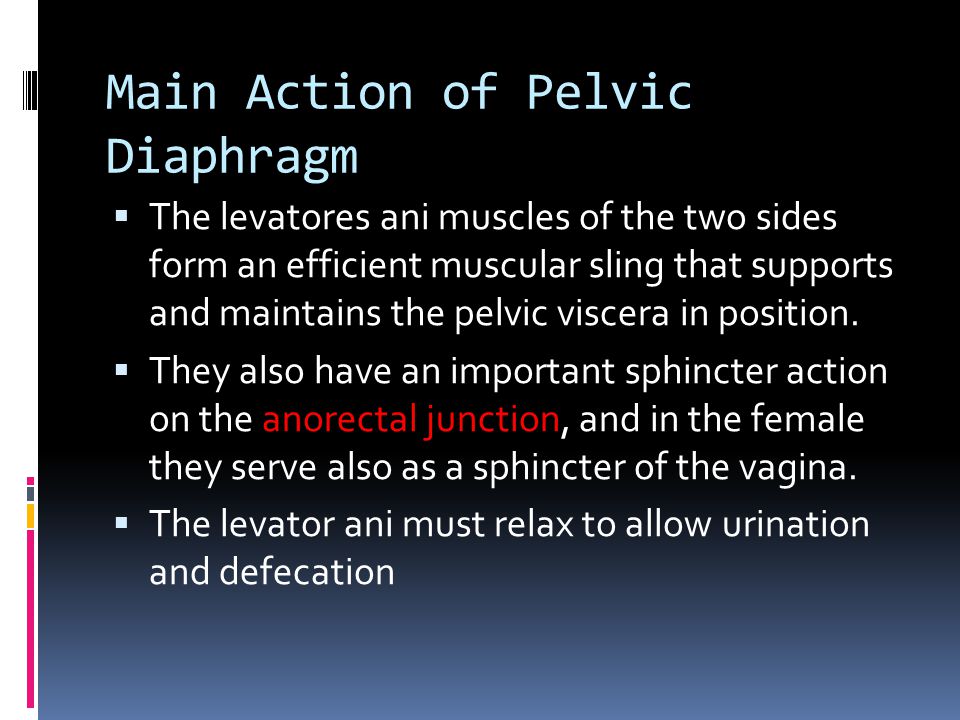 Main Action of Pelvic Diaphragm