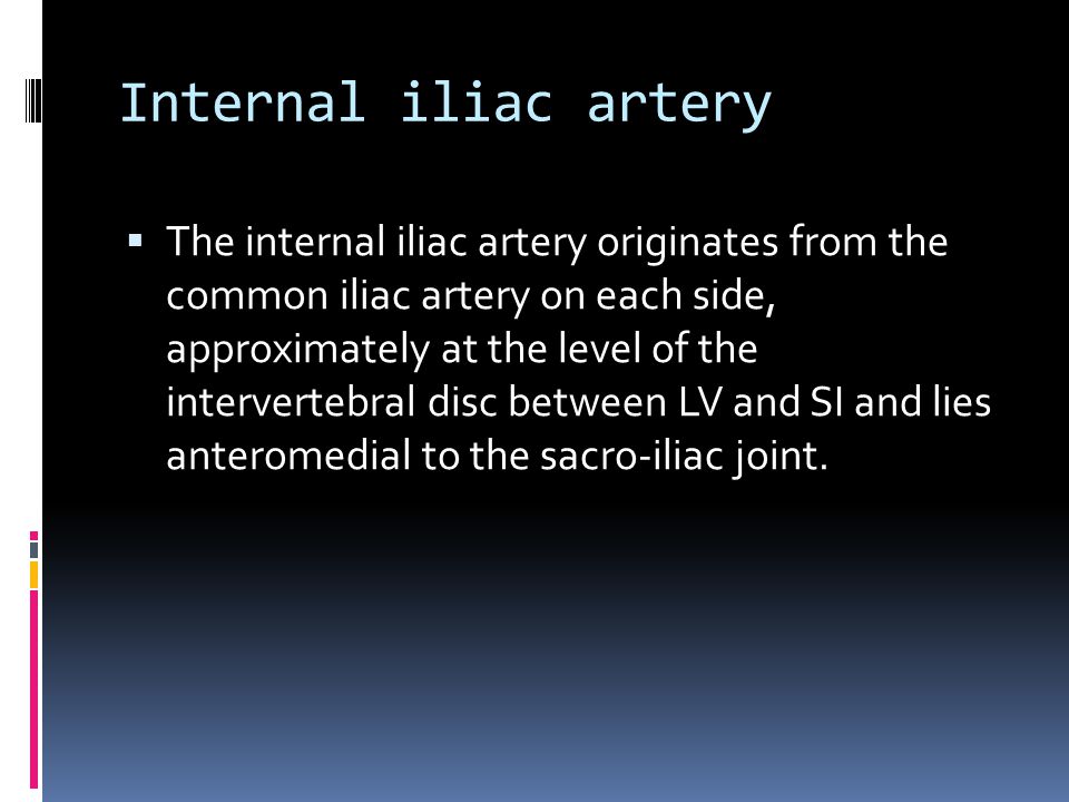 Internal iliac artery