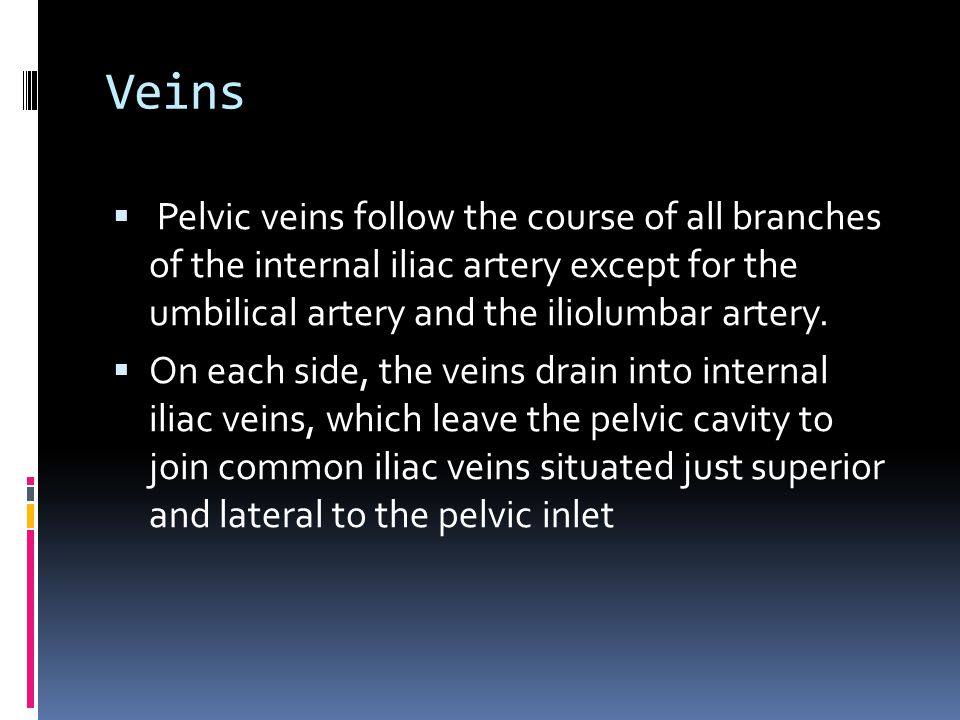 Veins Pelvic veins follow the course of all branches of the internal iliac artery except for the umbilical artery and the iliolumbar artery.