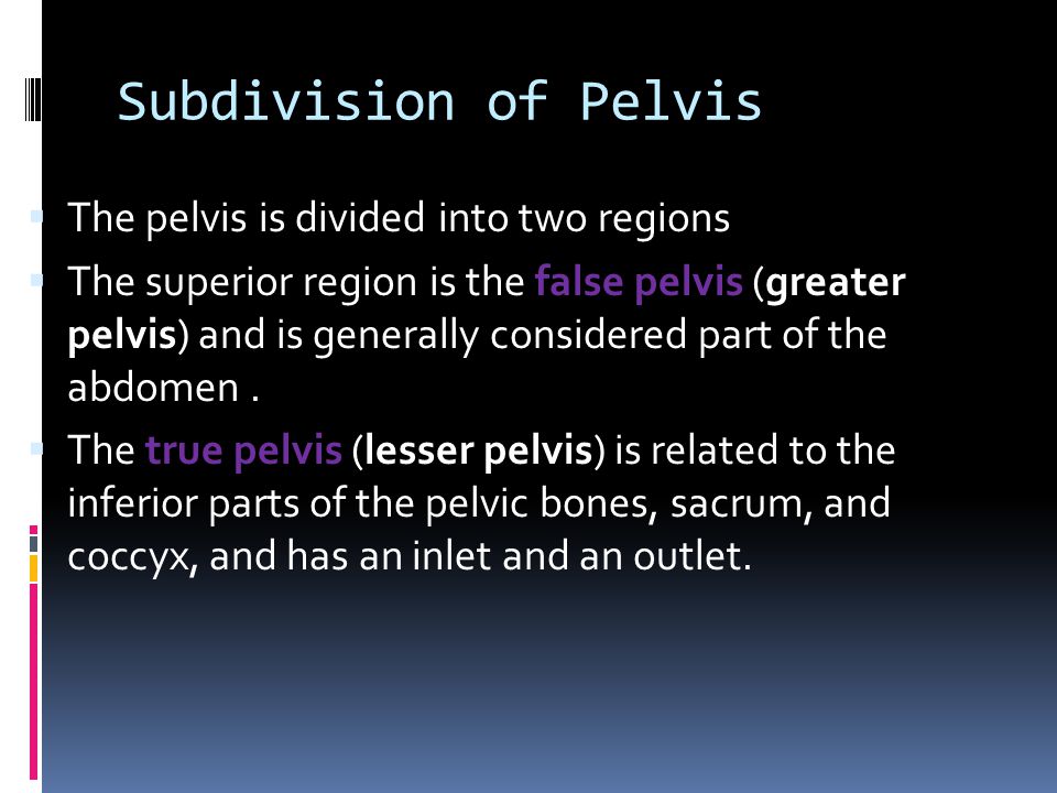 Subdivision of Pelvis The pelvis is divided into two regions