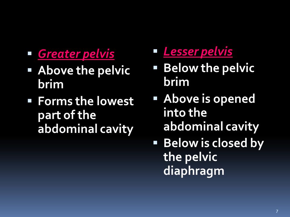 Lesser pelvis Below the pelvic brim. Above is opened into the abdominal cavity. Below is closed by the pelvic diaphragm.