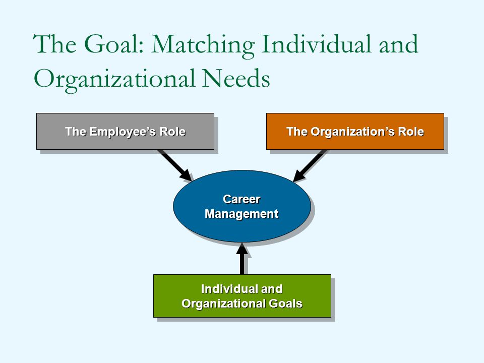 The Goal: Matching Individual and Organizational Needs