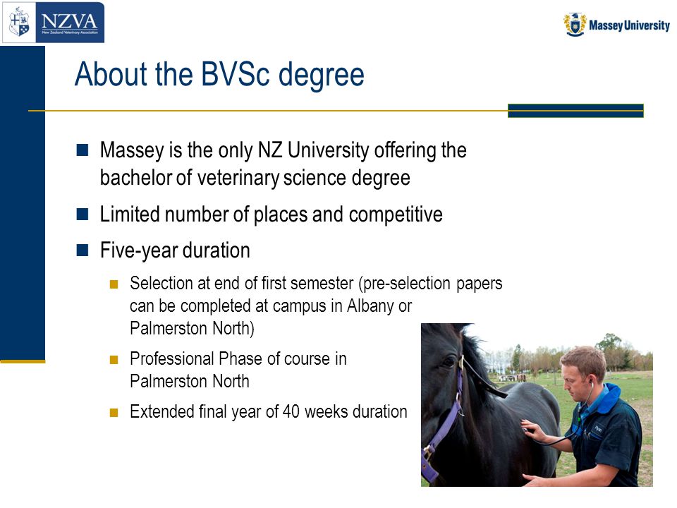 So you want to be a vet! Bachelor of Veterinary Science - ppt video online  download