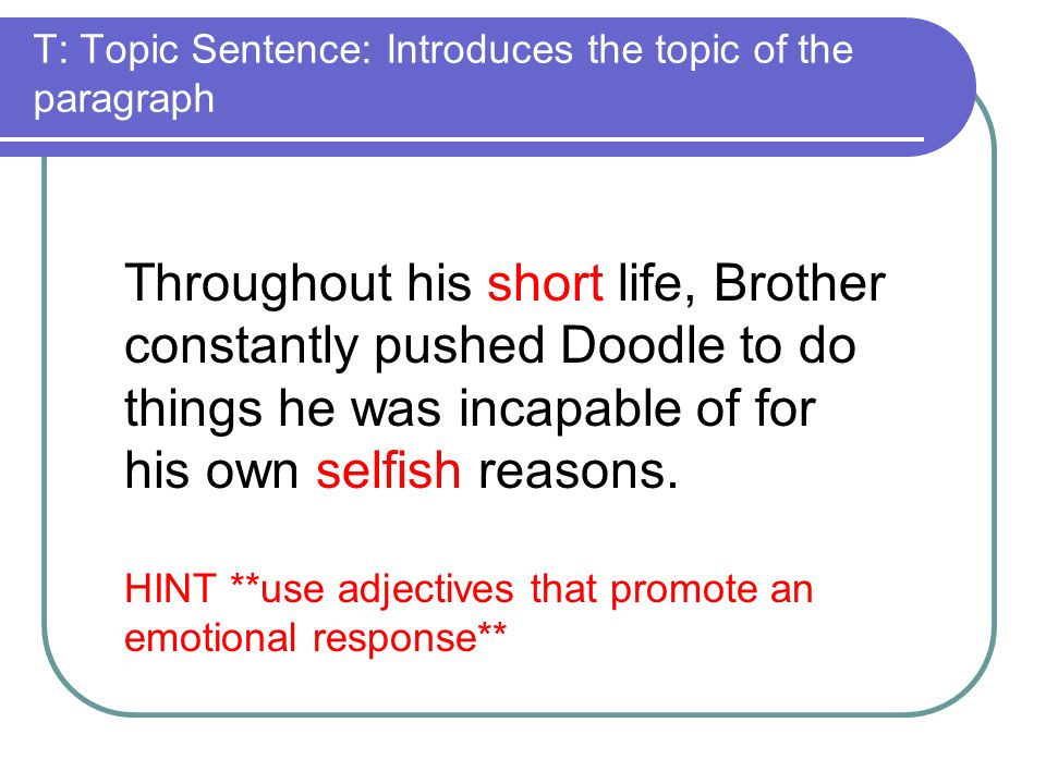 T: Topic Sentence: Introduces the topic of the paragraph