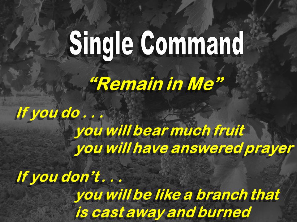 Remain in Me Single Command If you do you will bear much fruit
