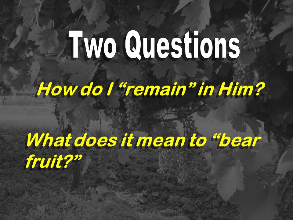 What does it mean to bear fruit