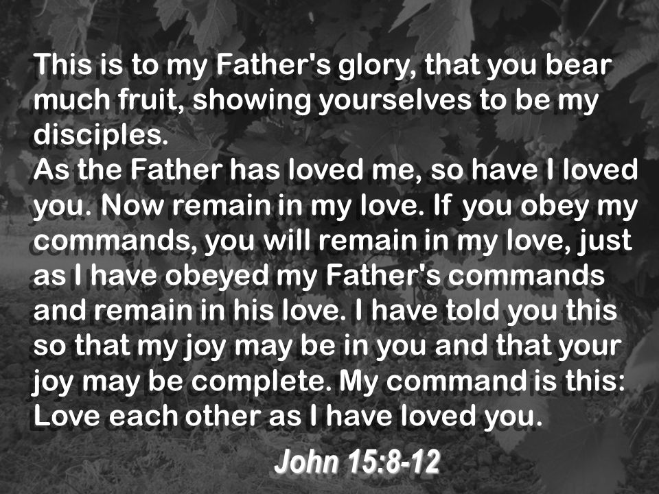 This is to my Father s glory, that you bear much fruit, showing yourselves to be my disciples.