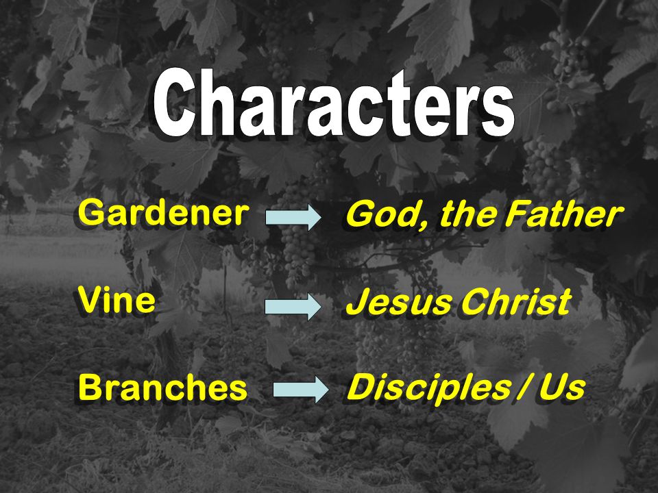 Gardener God, the Father Vine Branches Jesus Christ Disciples / Us