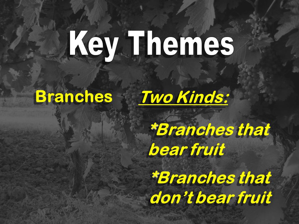 *Branches that bear fruit