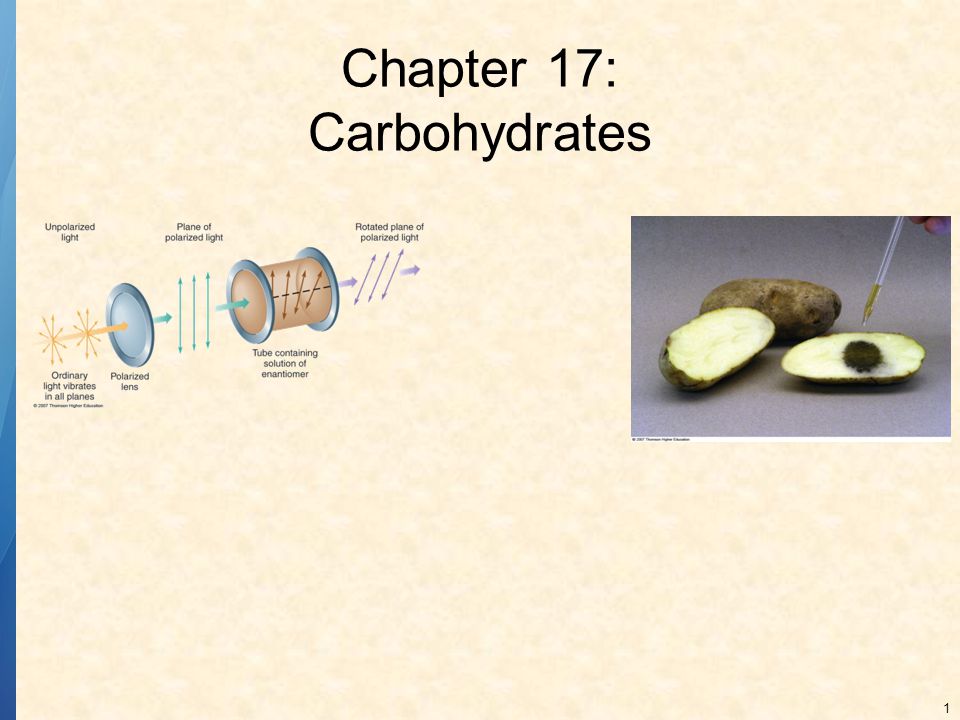 Chapter 17: Carbohydrates