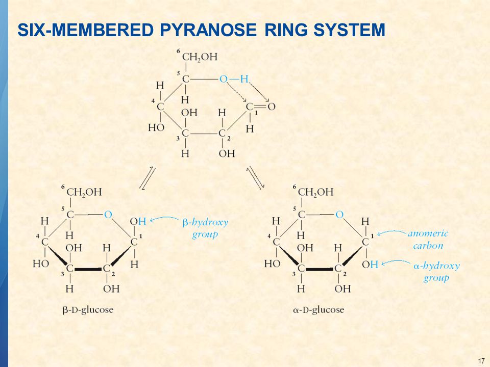SIX-MEMBERED PYRANOSE RING SYSTEM
