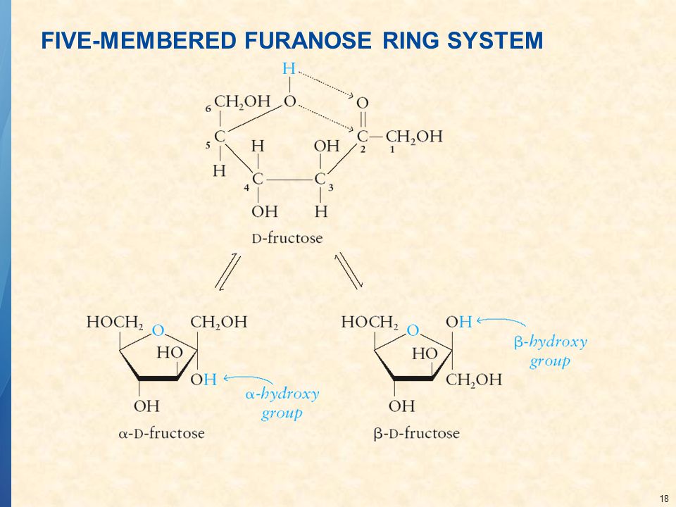 FIVE-MEMBERED FURANOSE RING SYSTEM