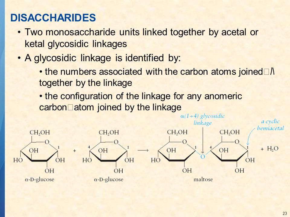 DISACCHARIDES A glycosidic linkage is identified by:
