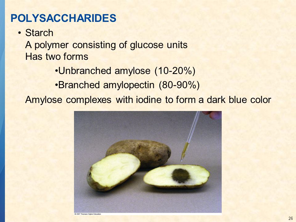 POLYSACCHARIDES Starch A polymer consisting of glucose units Has two forms. Unbranched amylose (10-20%)