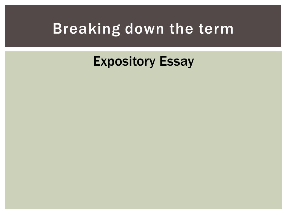 Breaking down the term Expository Essay