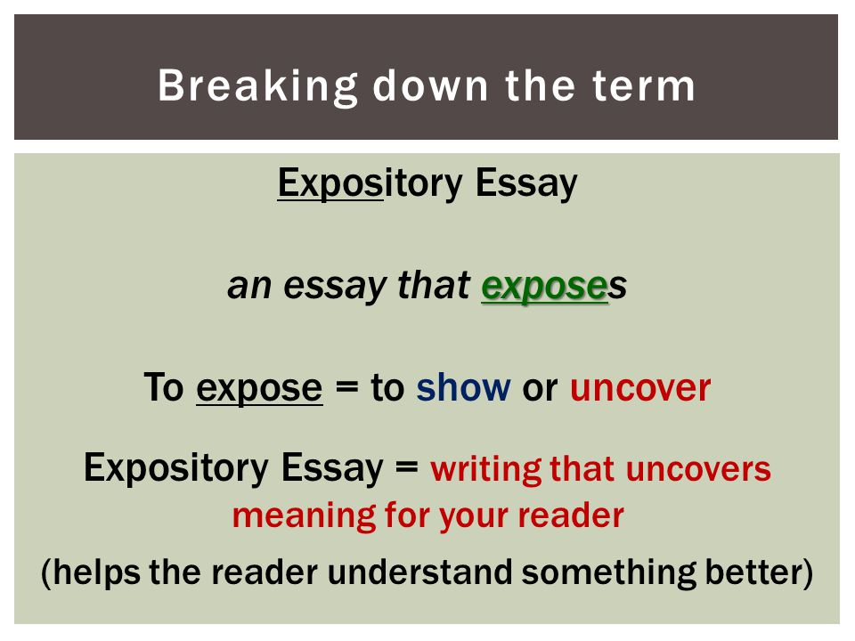 Breaking down the term Expository Essay an essay that exposes