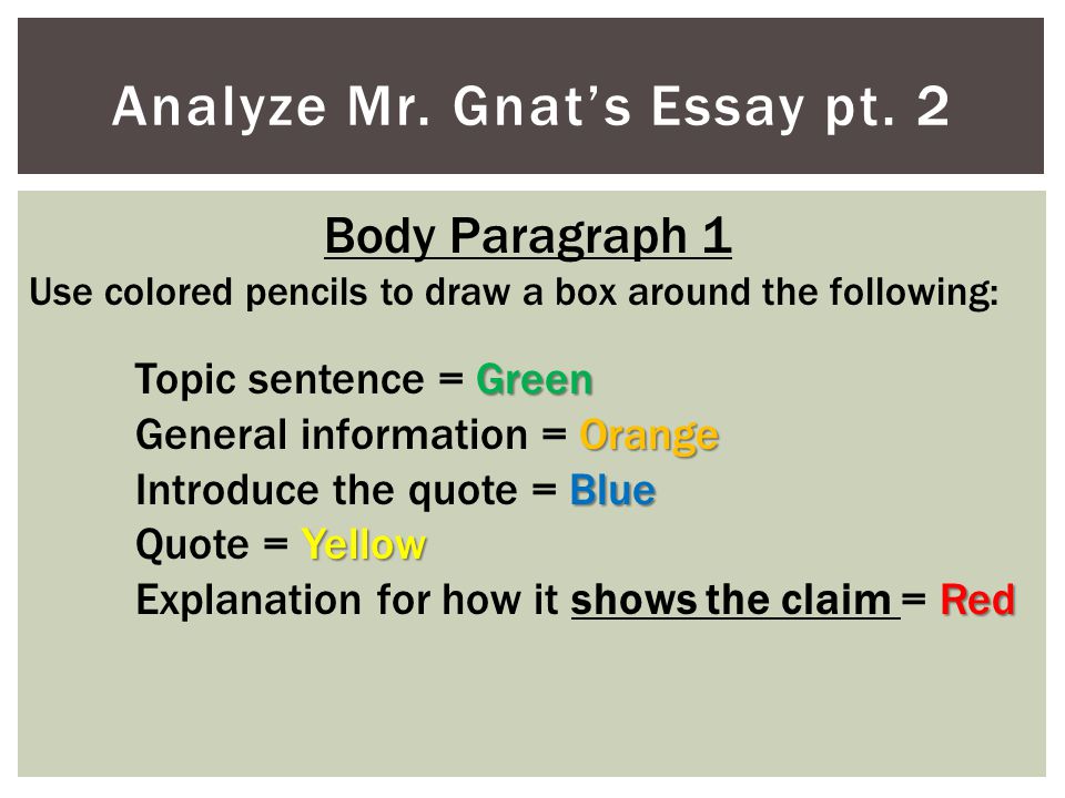 Analyze Mr. Gnat’s Essay pt. 2