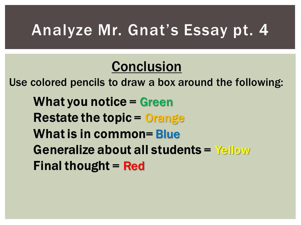 Analyze Mr. Gnat’s Essay pt. 4
