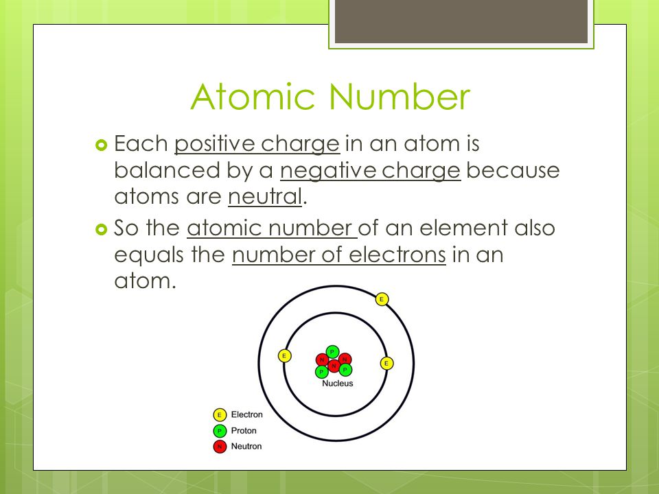 Atomic Number Each positive charge in an atom is balanced by a negative charge because atoms are neutral.