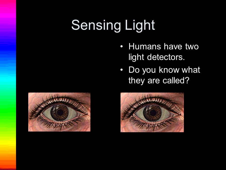 Sensing Light Humans have two light detectors.