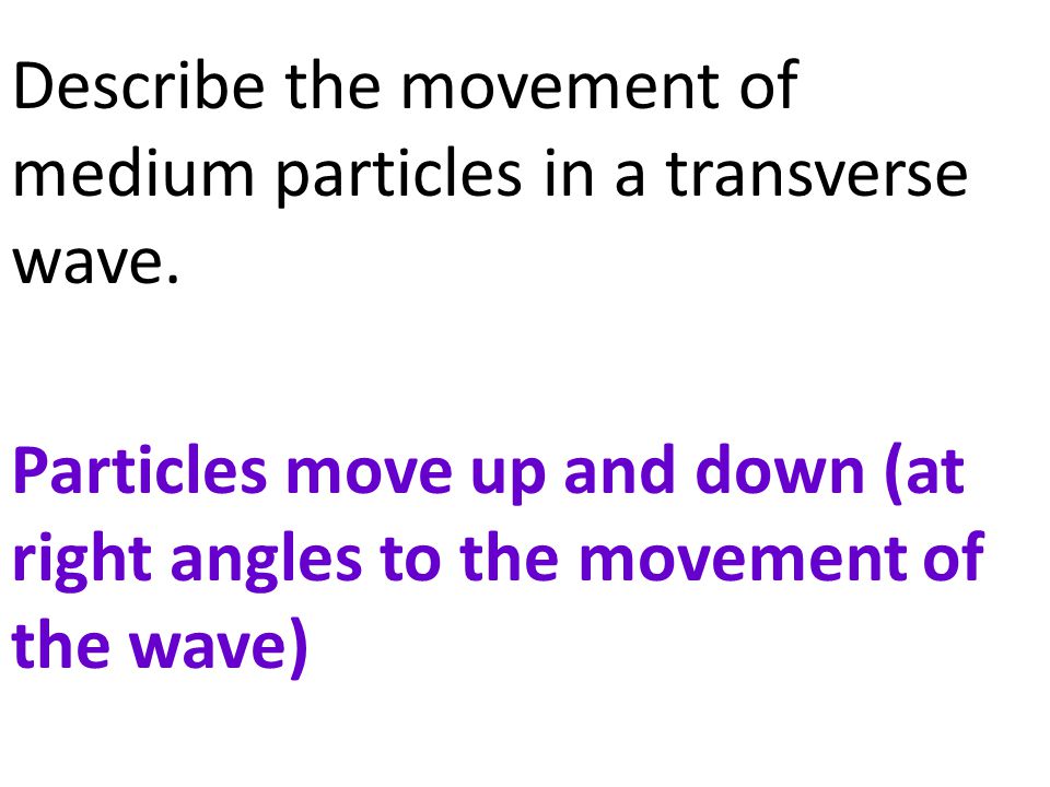 Describe the movement of medium particles in a transverse wave