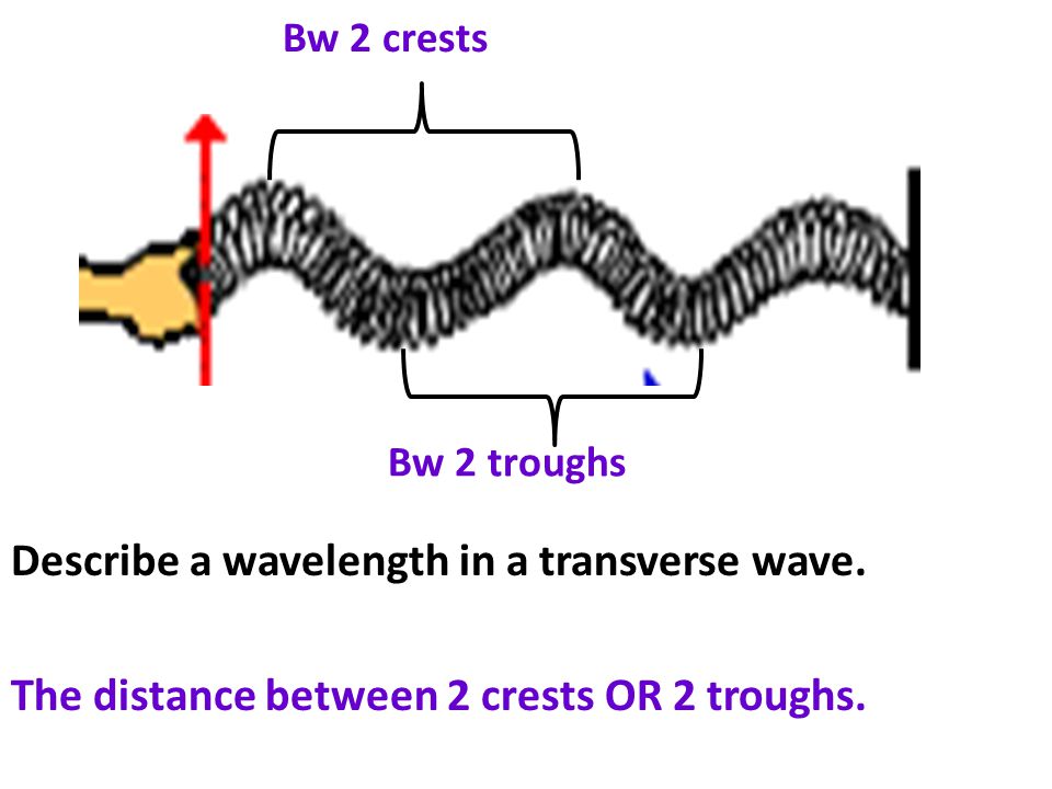 Bw 2 crests Bw 2 troughs. Describe a wavelength in a transverse wave.