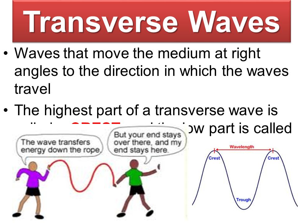 Transverse Waves Waves that move the medium at right angles to the direction in which the waves travel.