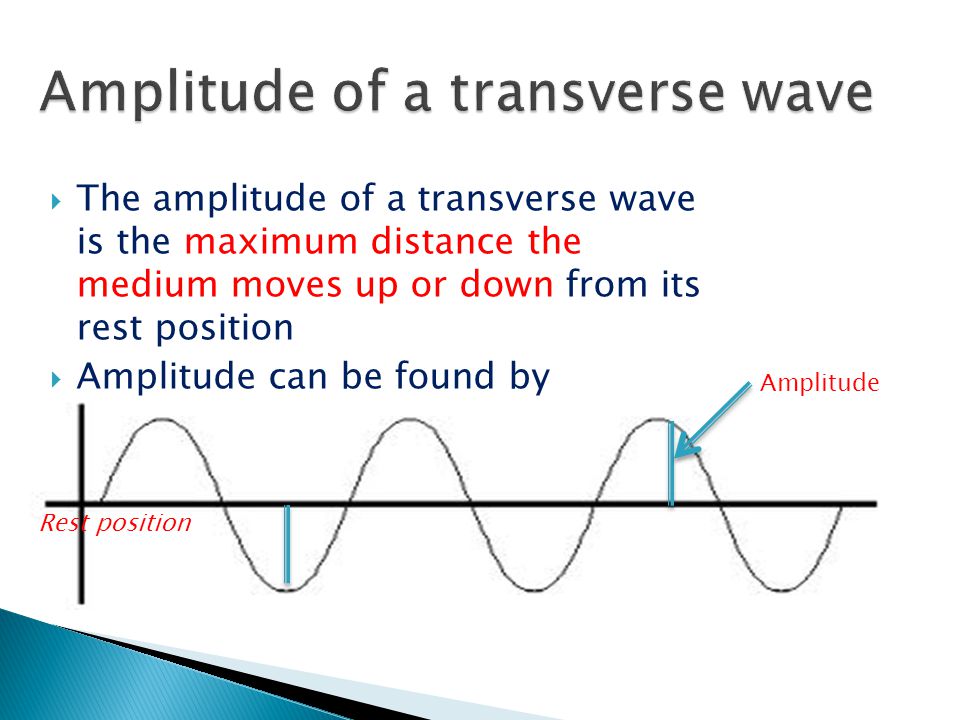Amplitude of a transverse wave