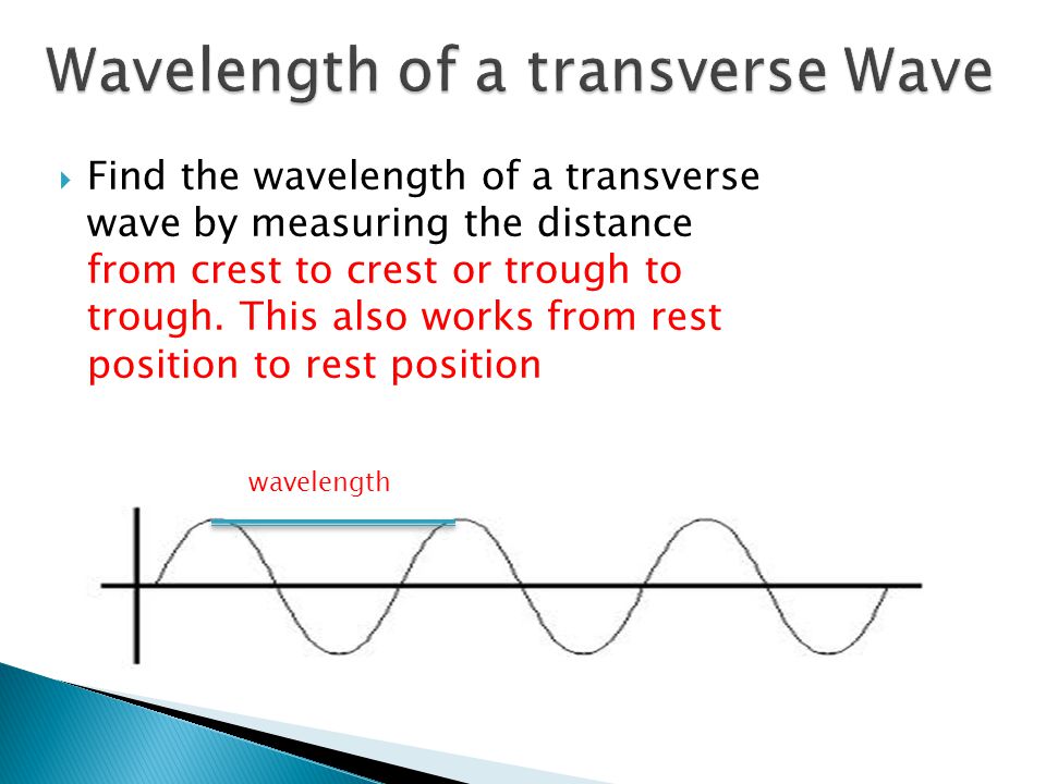 Wavelength of a transverse Wave