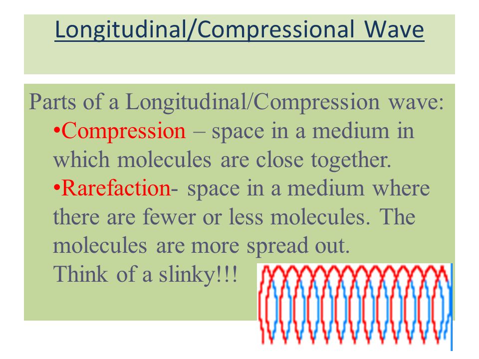 Longitudinal/Compressional Wave