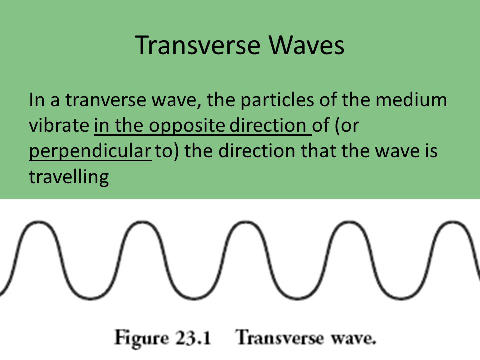 Transverse Waves