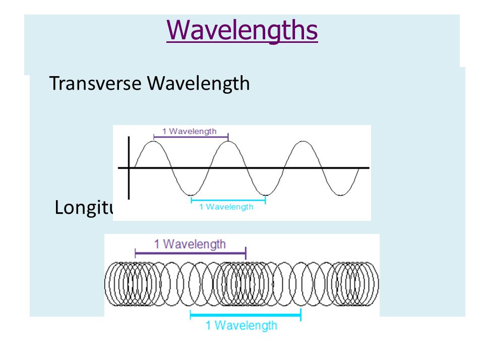 Wavelengths Transverse Wavelength Longitudinal Wavelength