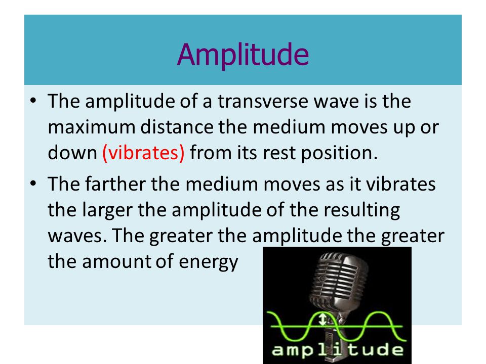 Amplitude The amplitude of a transverse wave is the maximum distance the medium moves up or down (vibrates) from its rest position.