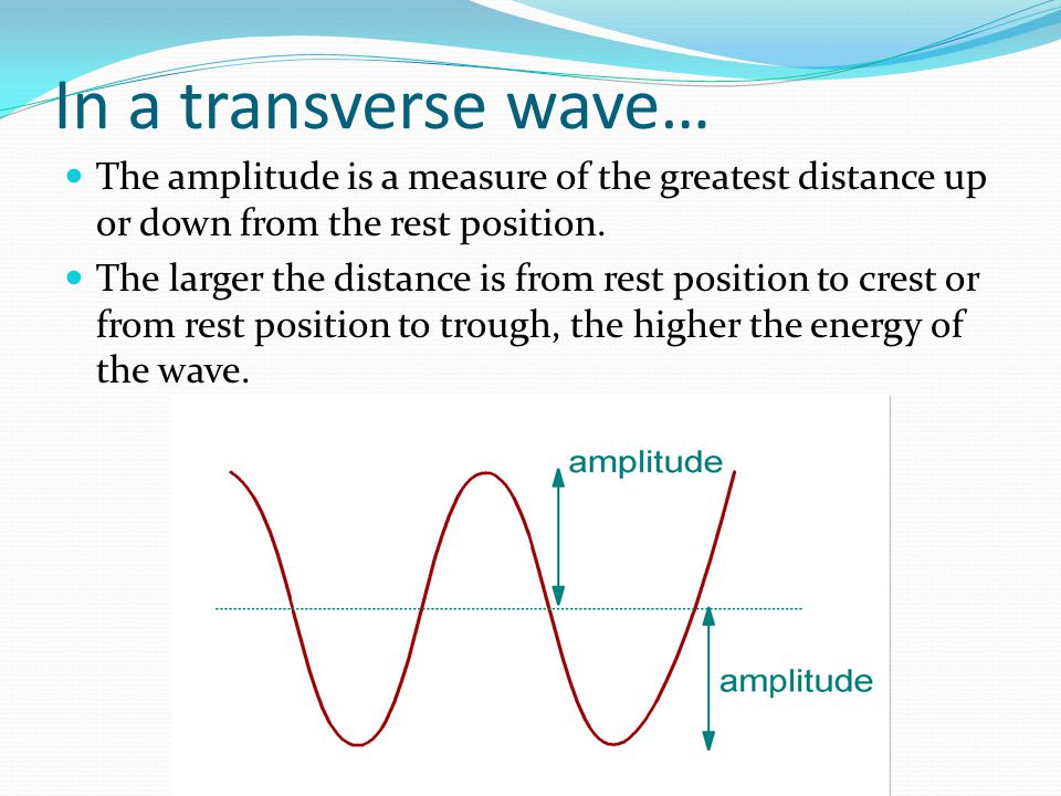 In a transverse wave… The amplitude is a measure of the greatest distance up or down from the rest position.