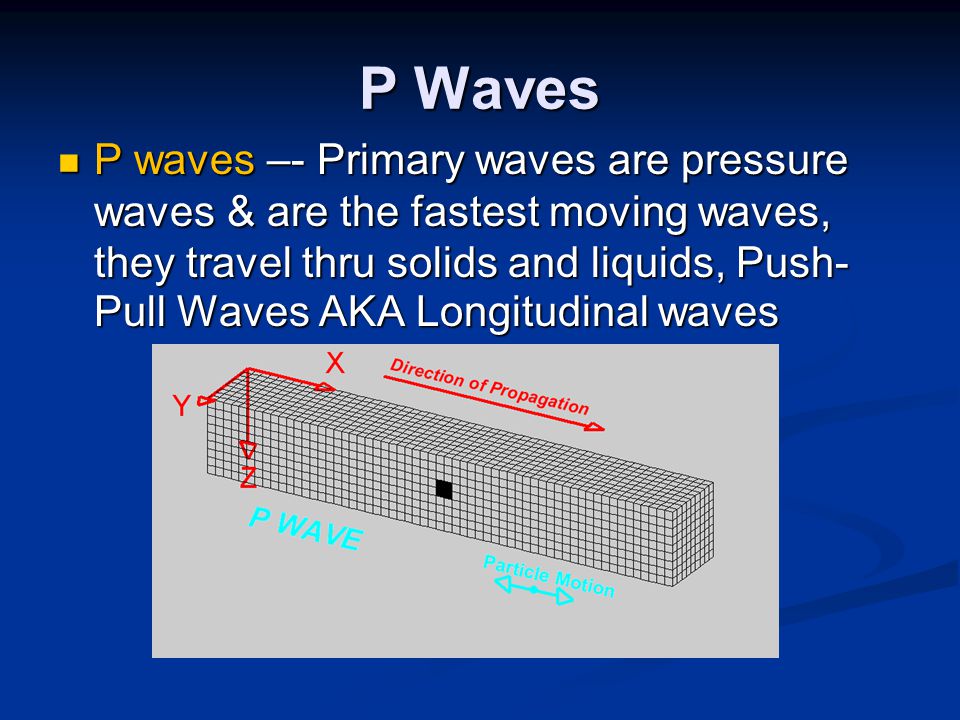 P Waves