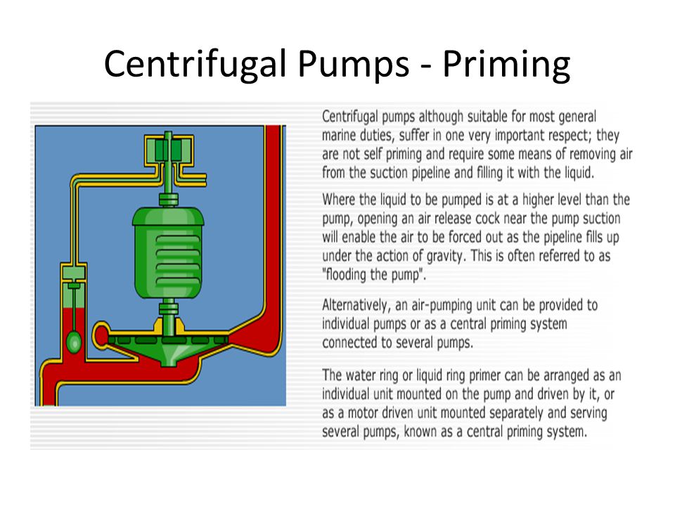 iPumpsi and Pumping Theory ippti download