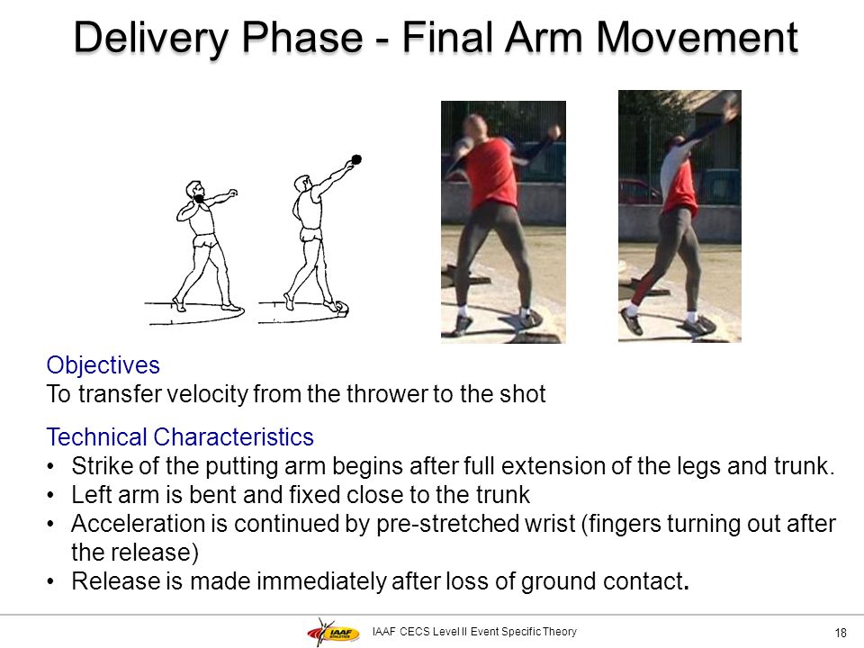 Delivery Phase - Final Arm Movement