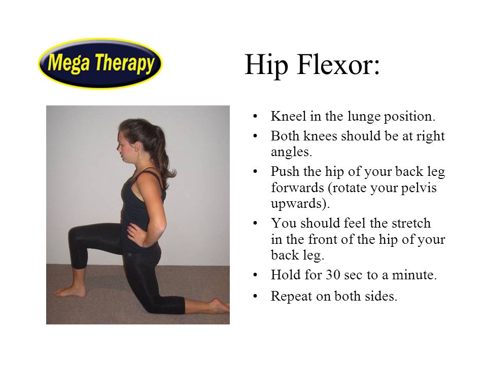 Hip Flexor: Kneel in the lunge position.