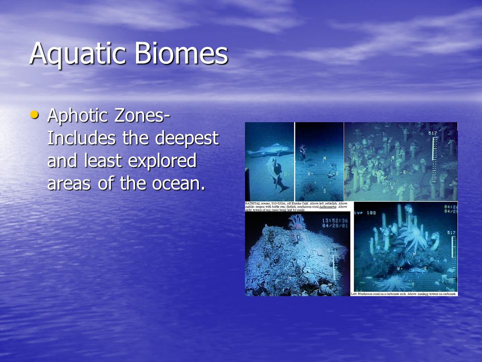 Aquatic Biomes Aphotic Zones- Includes the deepest and least explored areas of the ocean.