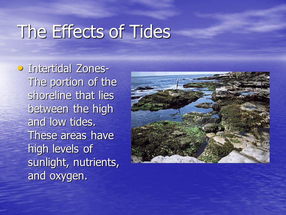 The Effects of Tides