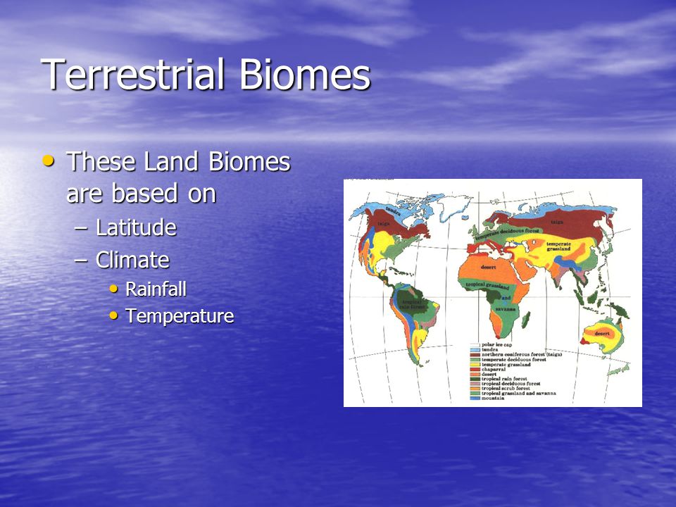 Terrestrial Biomes These Land Biomes are based on Latitude Climate