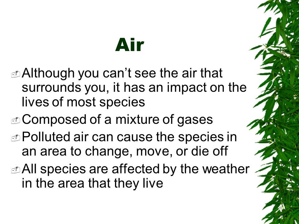 Air Although you can’t see the air that surrounds you, it has an impact on the lives of most species.
