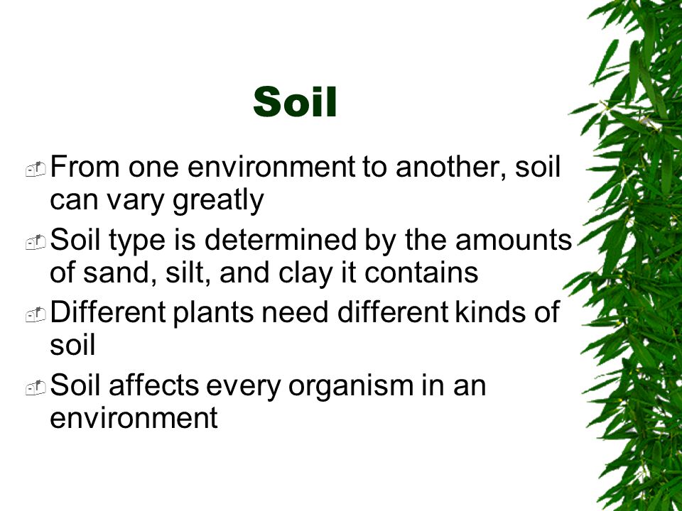 Soil From one environment to another, soil can vary greatly