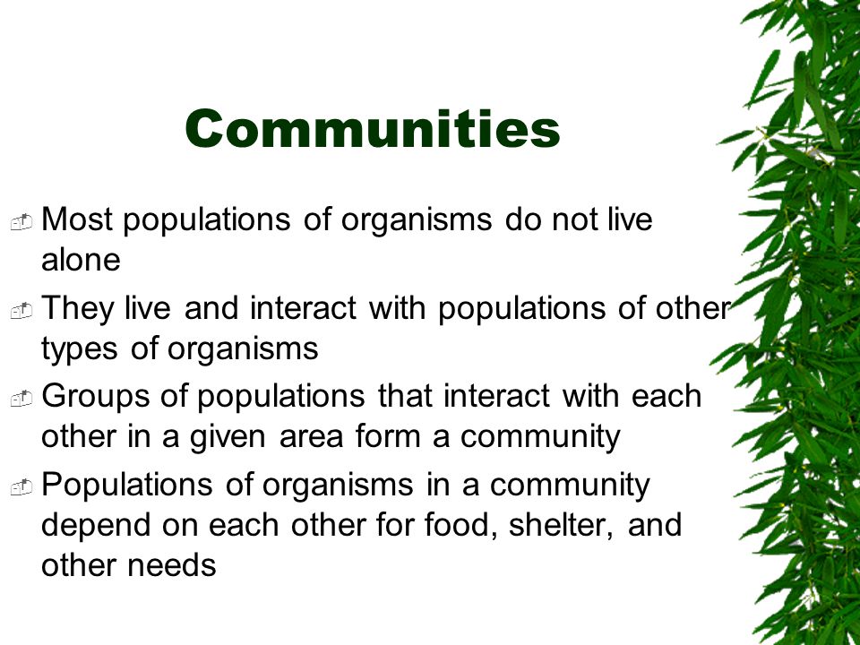 Communities Most populations of organisms do not live alone
