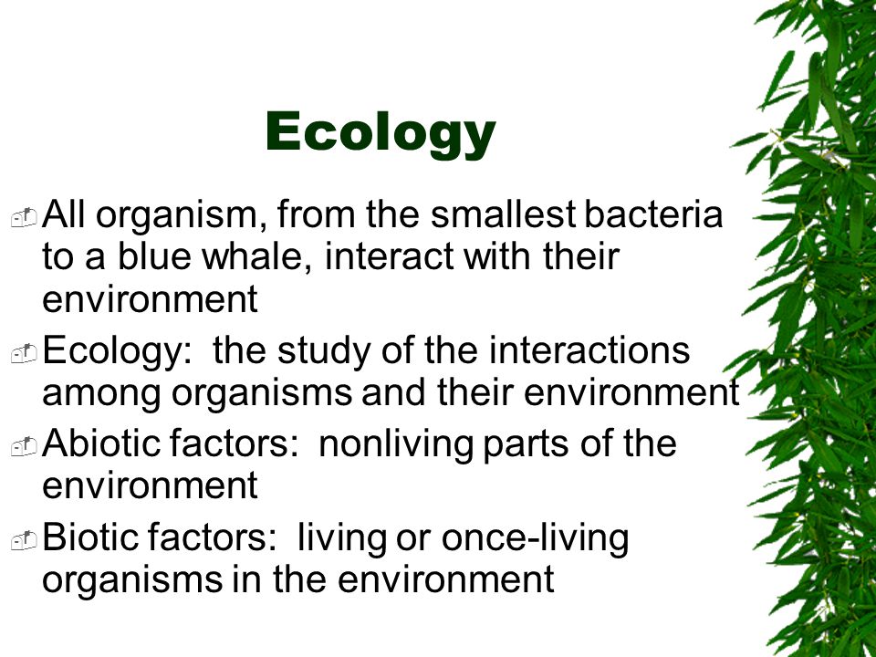 Ecology All organism, from the smallest bacteria to a blue whale, interact with their environment.
