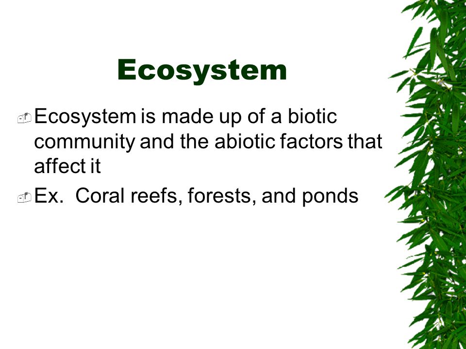 Ecosystem Ecosystem is made up of a biotic community and the abiotic factors that affect it.