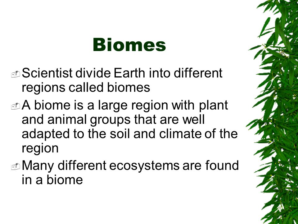 Biomes Scientist divide Earth into different regions called biomes