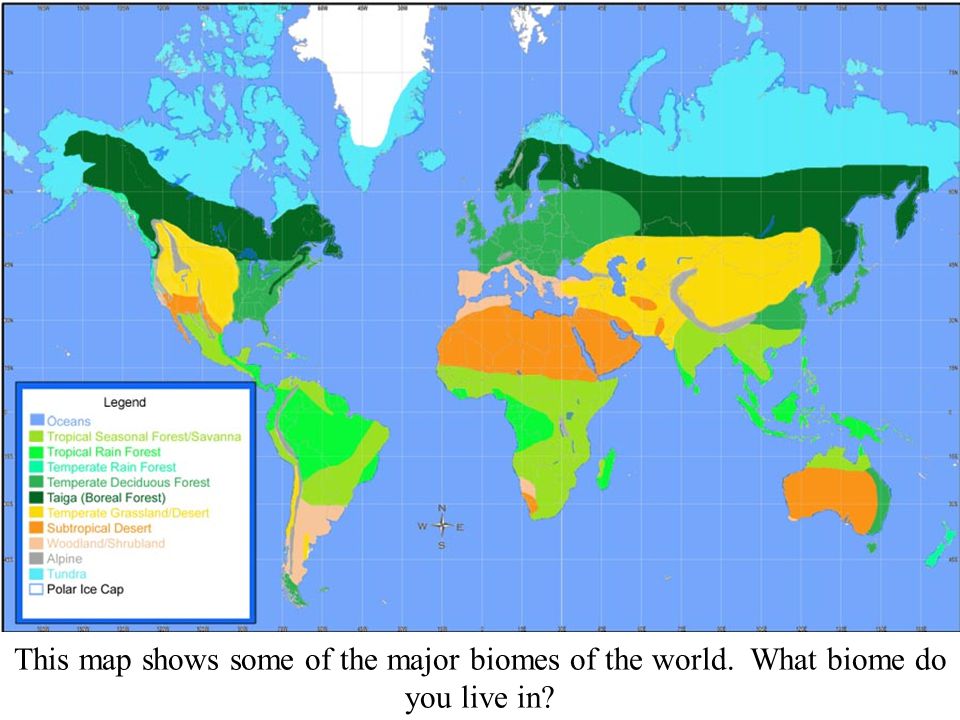 This map shows some of the major biomes of the world